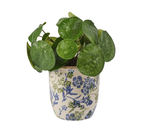 Pot ANITA – Image 2
